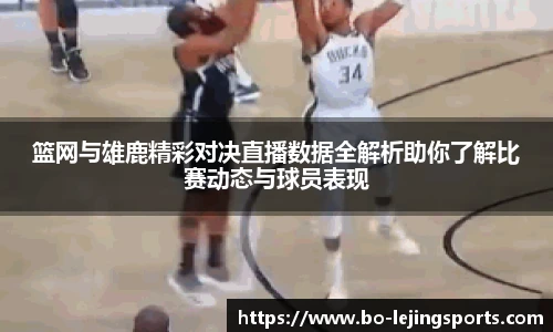 乐竞体育官网入口